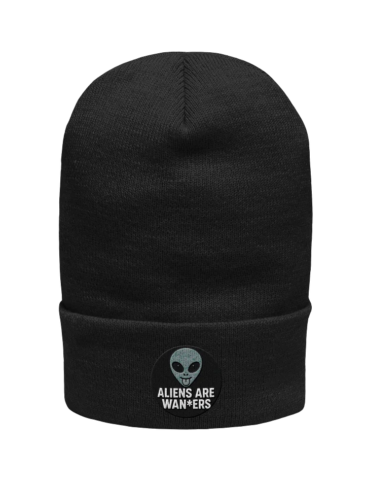 ALIENS ARE WAN*ERS BEANIE product image (1)