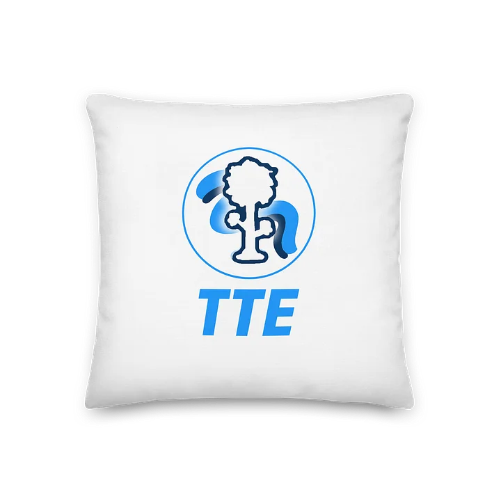 TTE Pillow? product image (1)