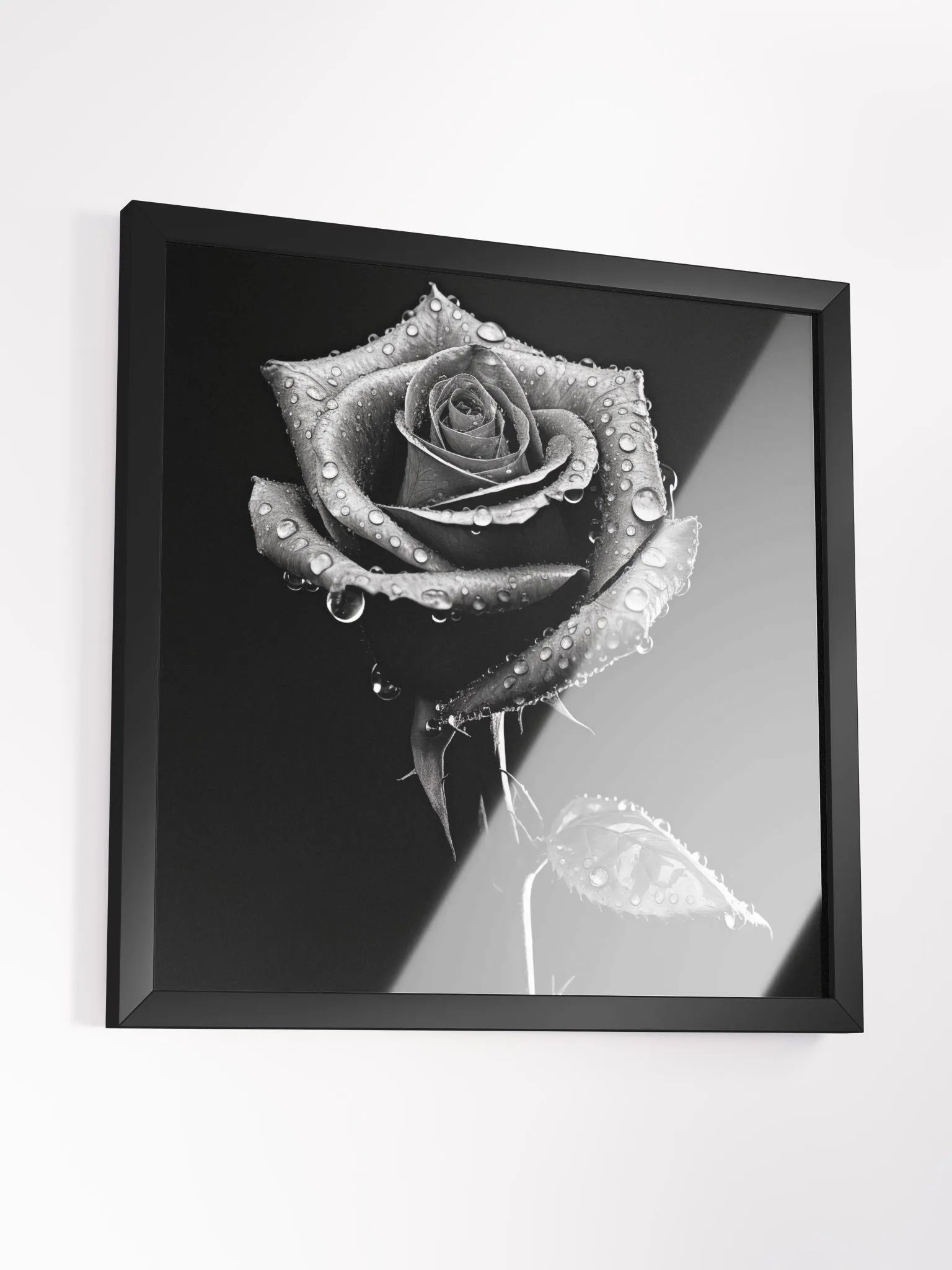 Square Framed Fine Art Roses product image (3)