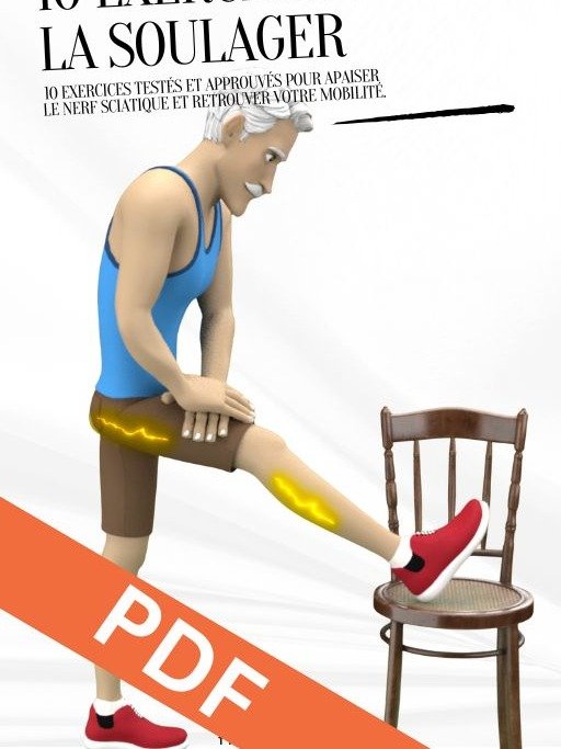PDF - La Sciatique - Top 10 exercices pour la soulager product image (1)