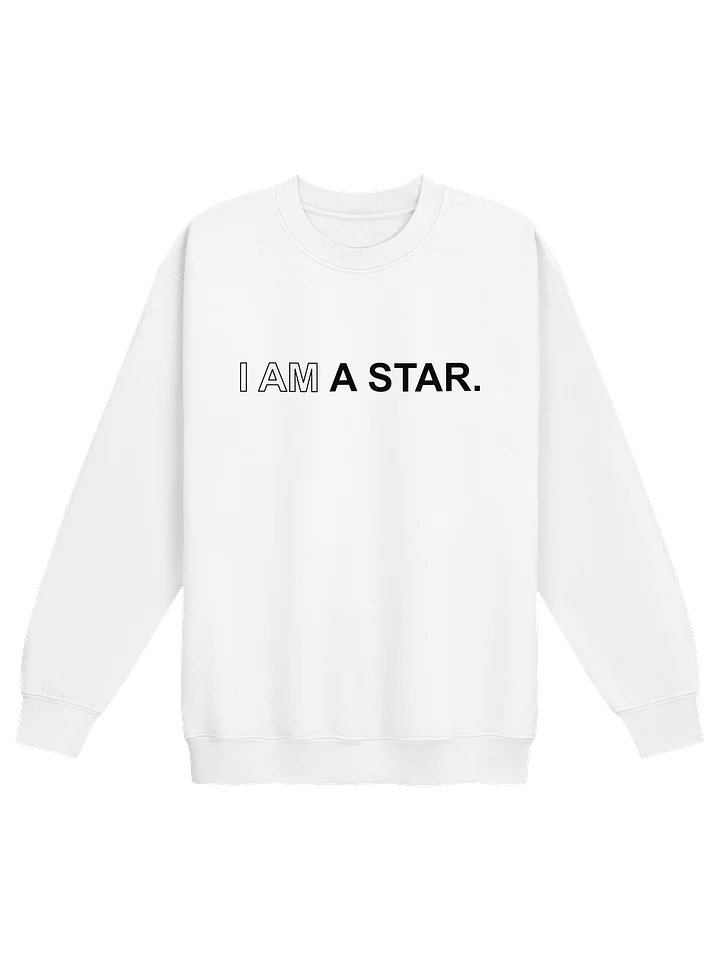 Ten Year Anniversary Gilden Kids Sweatshirt product image (1)