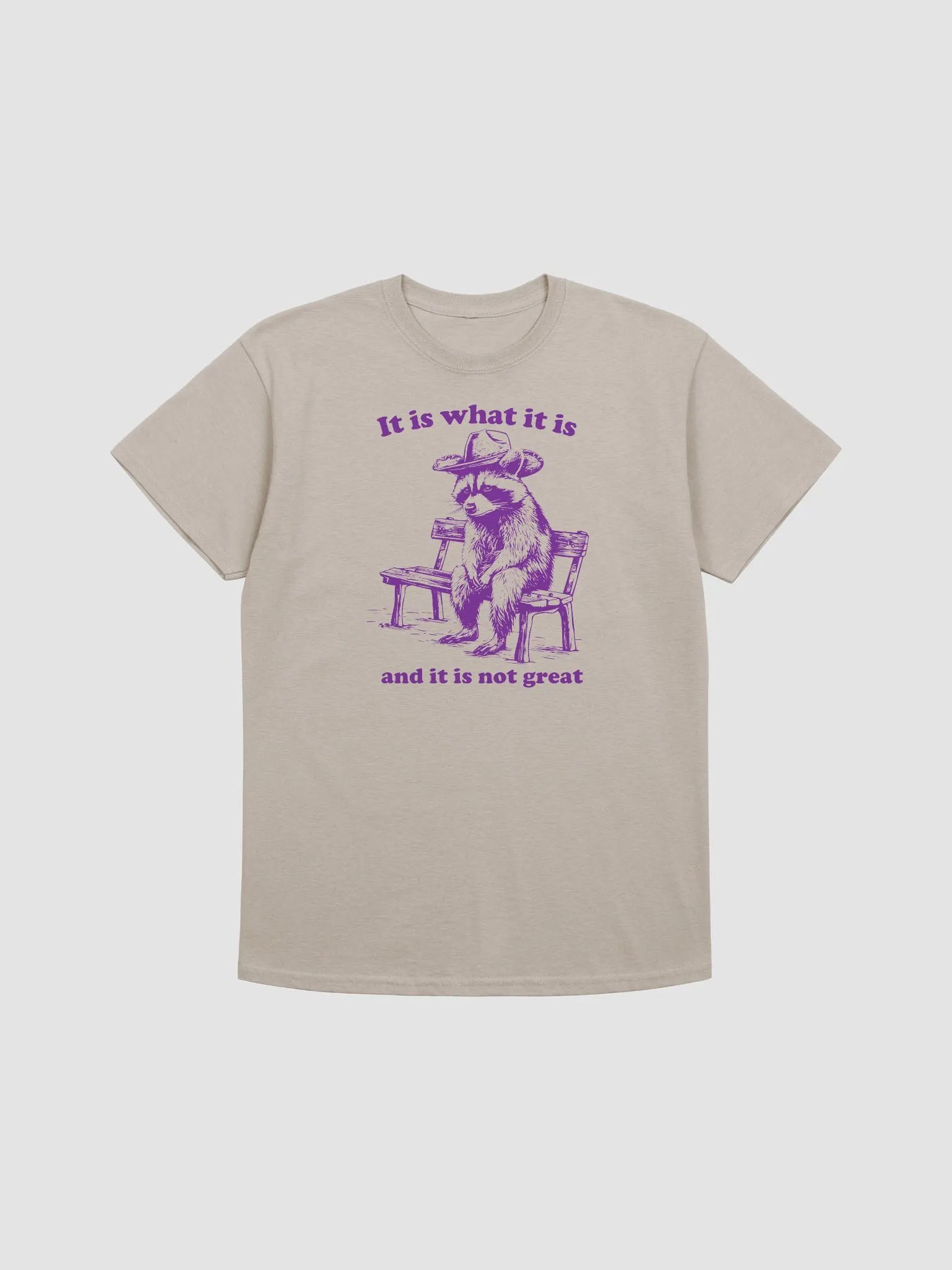 It is what it is product image (1)