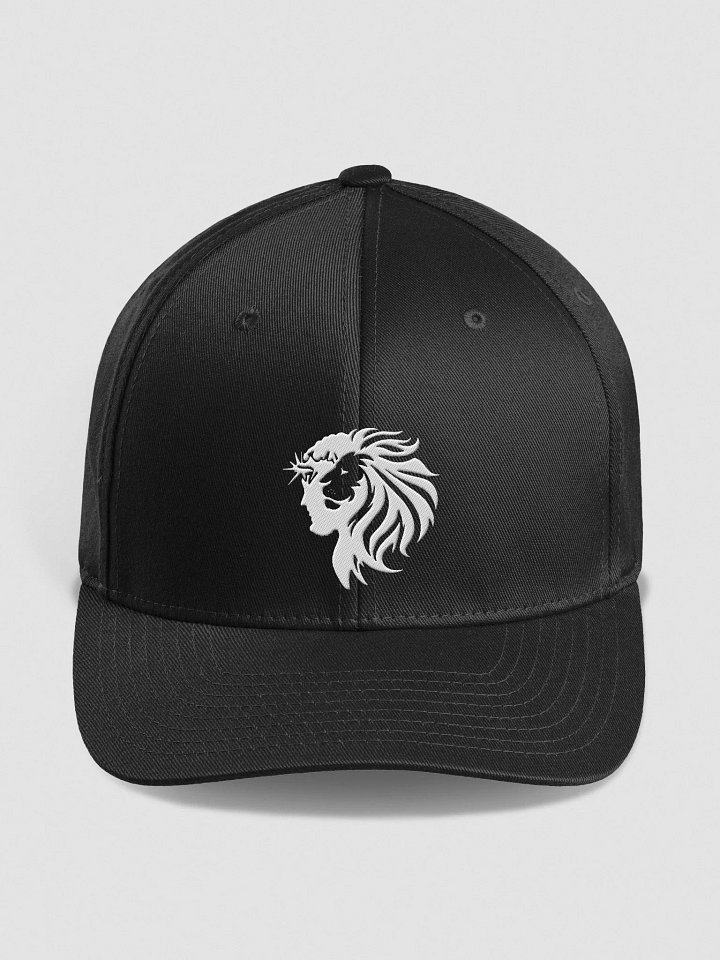 Lion of Judah Fitted product image (3)