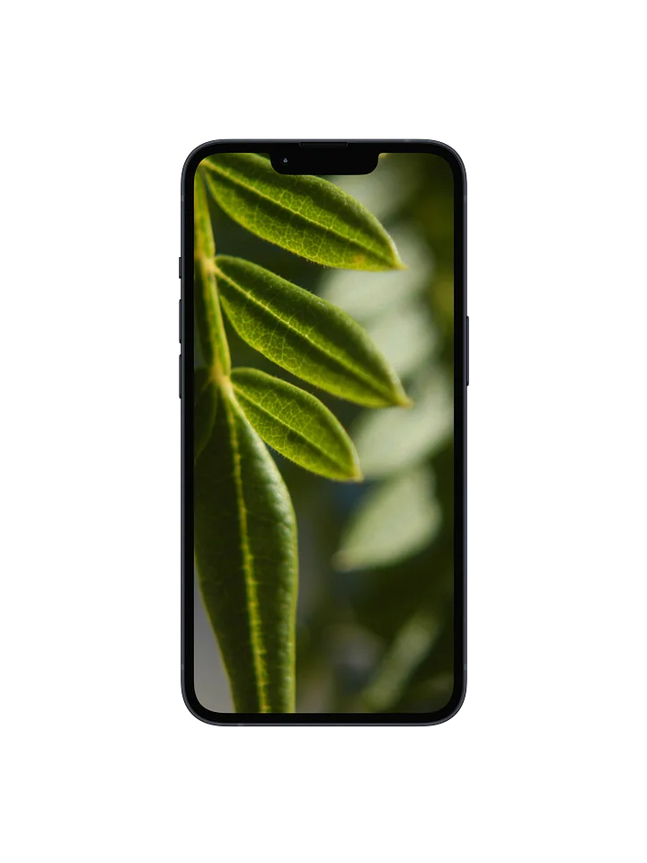 Jacaranda Leaves Digital Wallpaper Set product image (1)