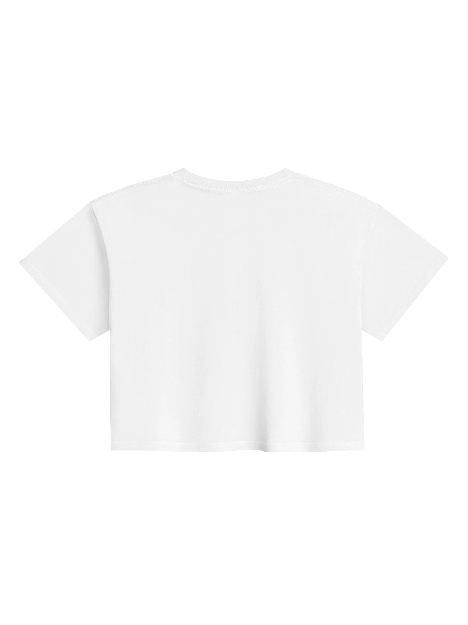 BLANKEMBER™ Women's Premium Crop Top product image (6)