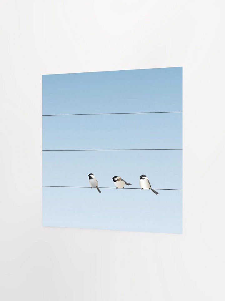 Three Birds on a Wire product image (2)