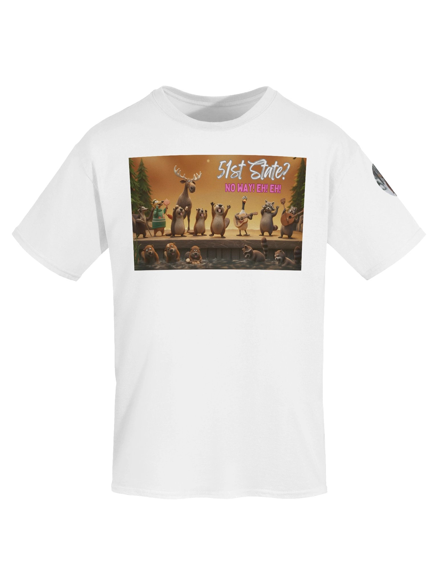 51st State? | Essential Character Ensemble Tee (White) product image (7)