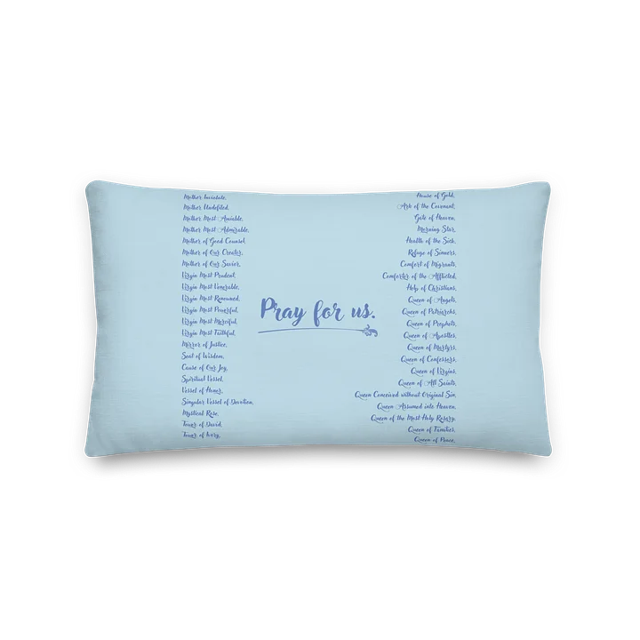 Virgin Mary Prayer Pillow with Pink Rose Halo product image (5)