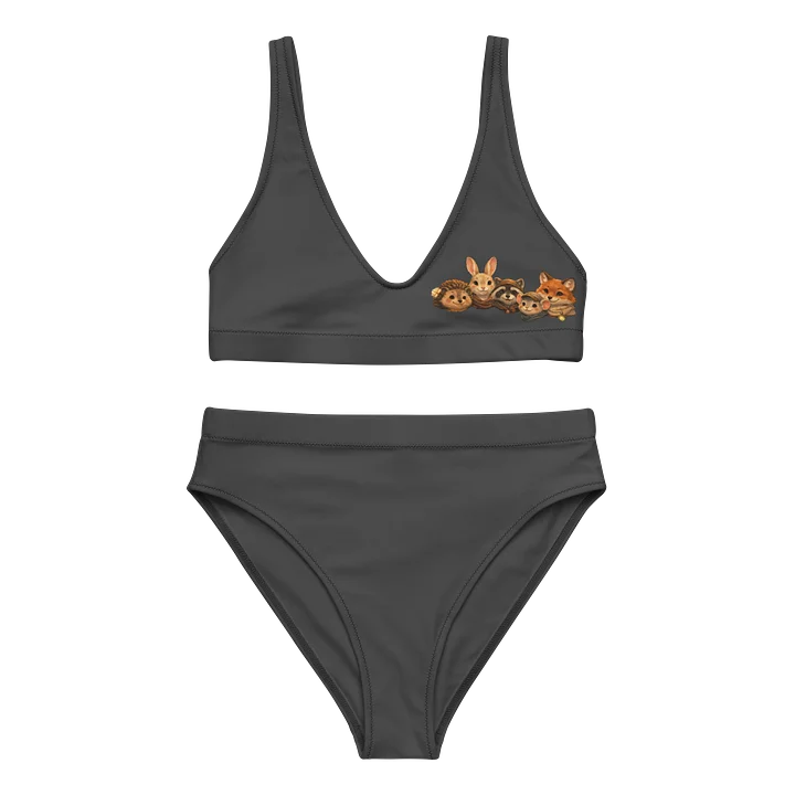 Kingdom Grovelings High Waisted Bikini Set product image (1)