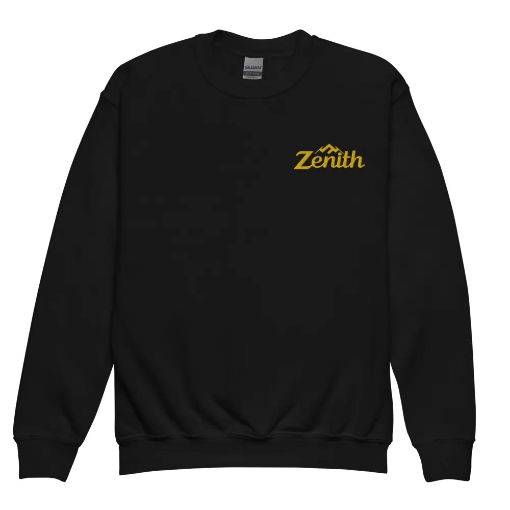 TDS Music Exclusive 'ZENITH' Youth Crew Neck Sweatshirt - Comfortable, Stylish, and Durable product image (3)