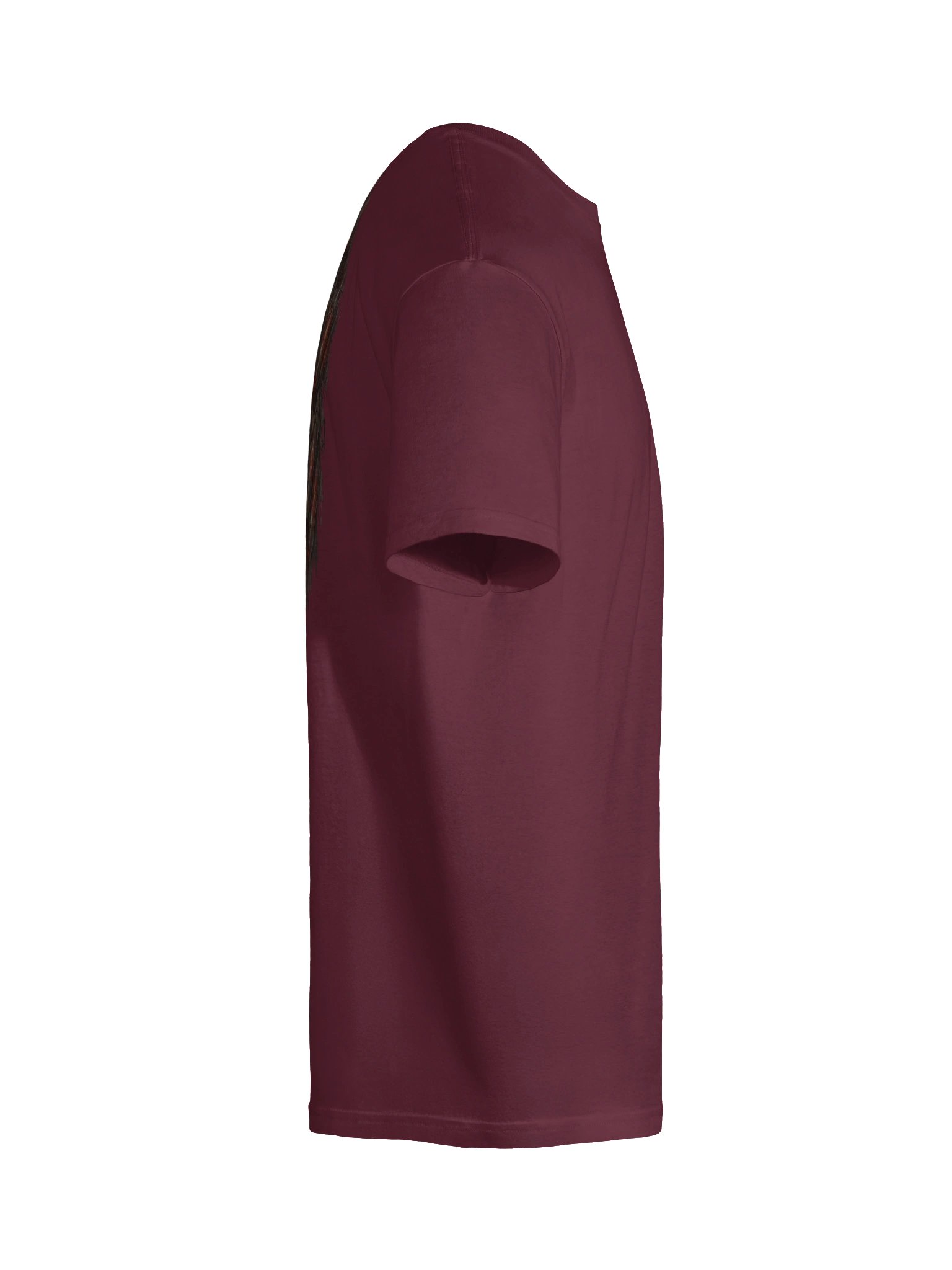 Tee-shirt Vikrant PREMIUM product image (10)
