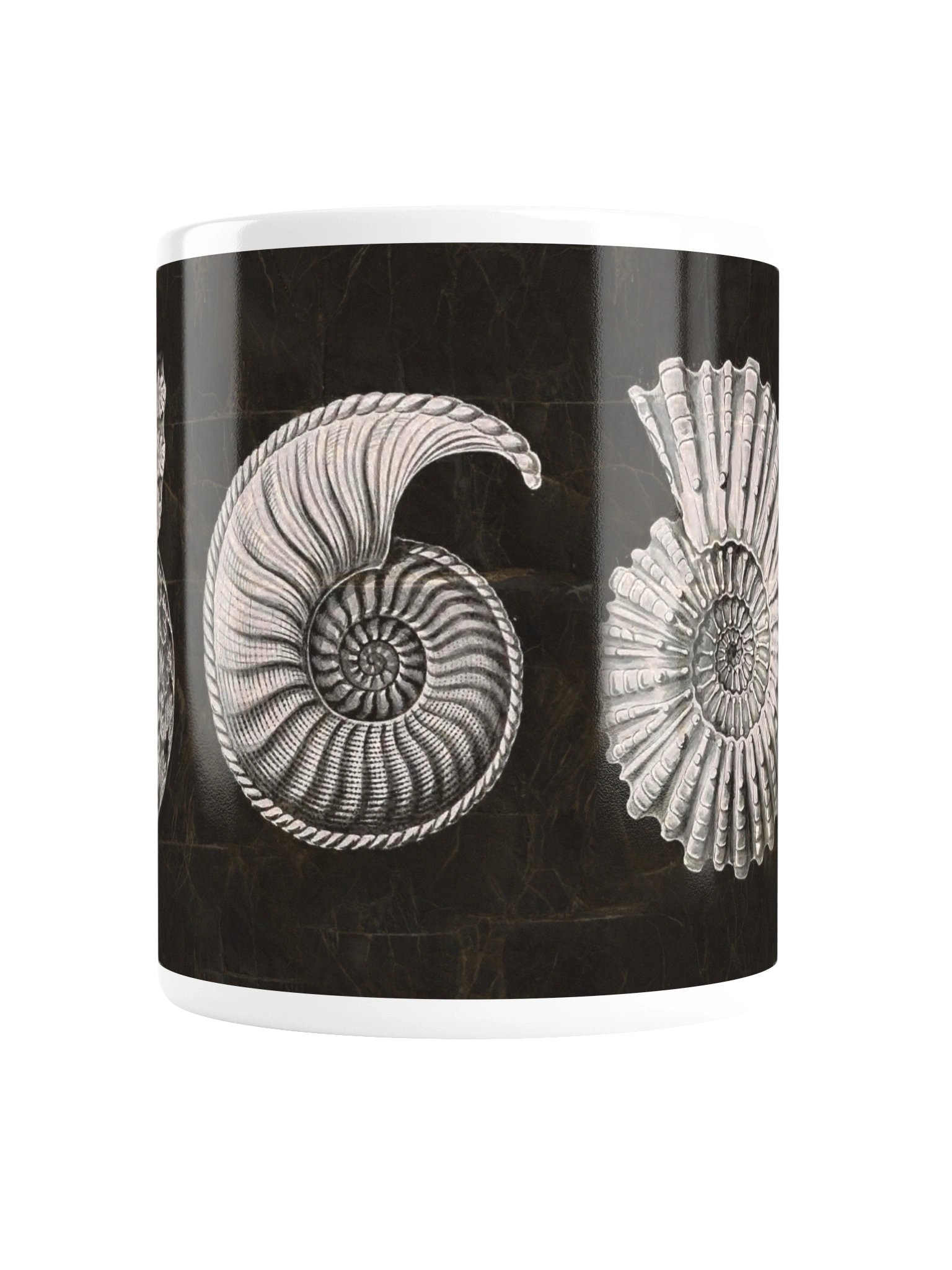 Ammonites – Haeckel Mug product image (2)