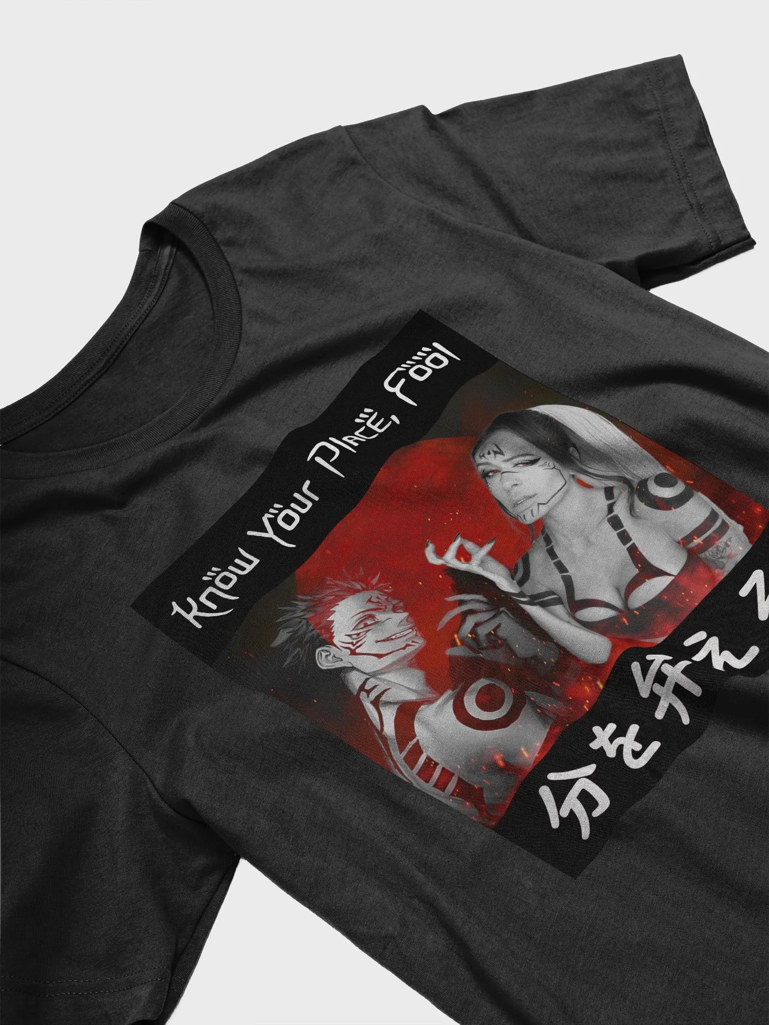 Know Your Place, Fool Shirt product image (2)