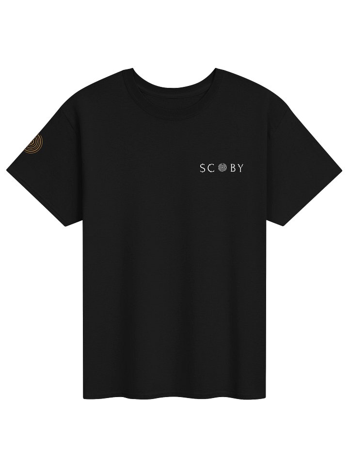 Embroidered Basic Tee (multiple colors) product image (1)