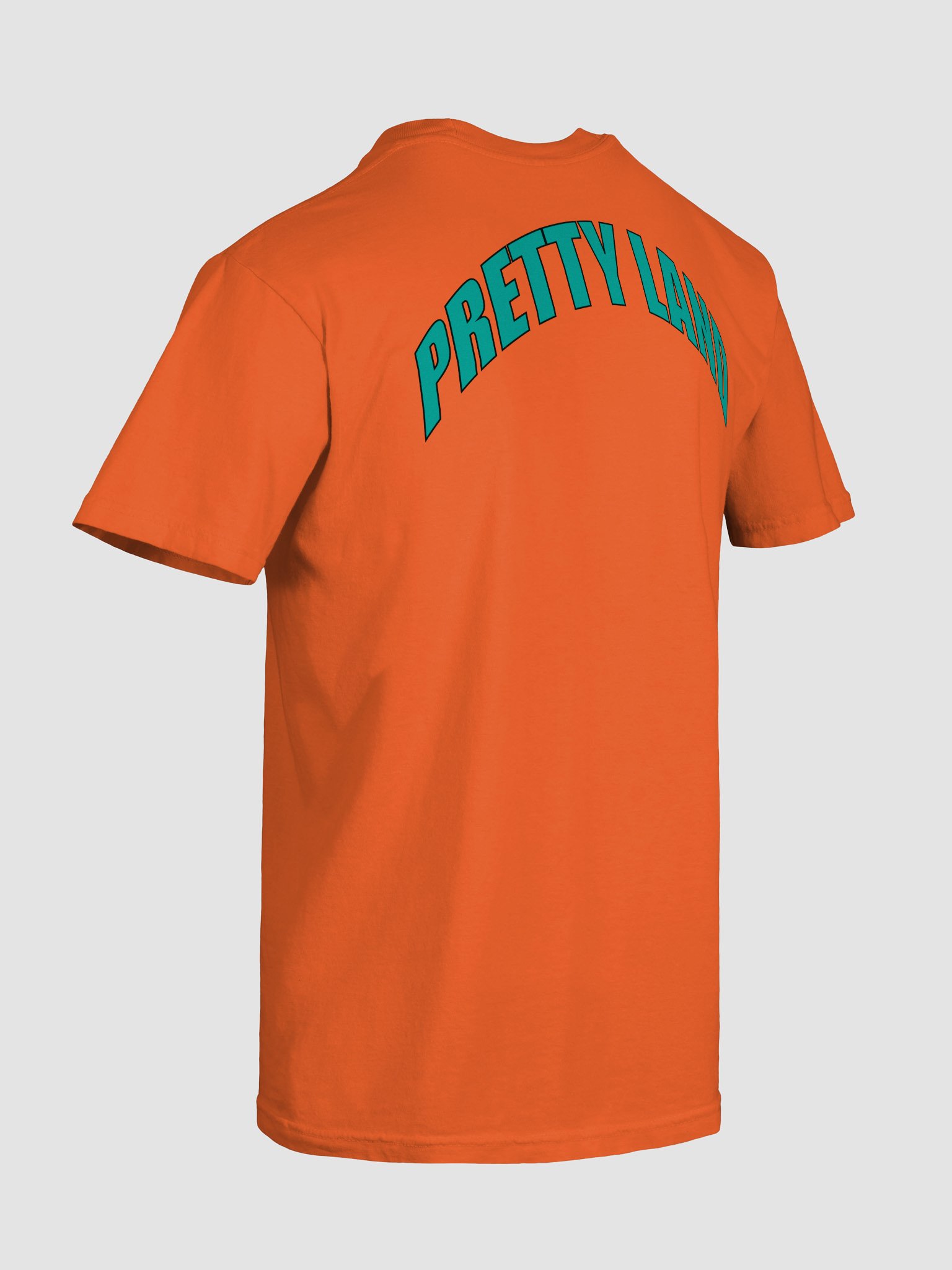 Teal "Pretty Land" Tee product image (4)