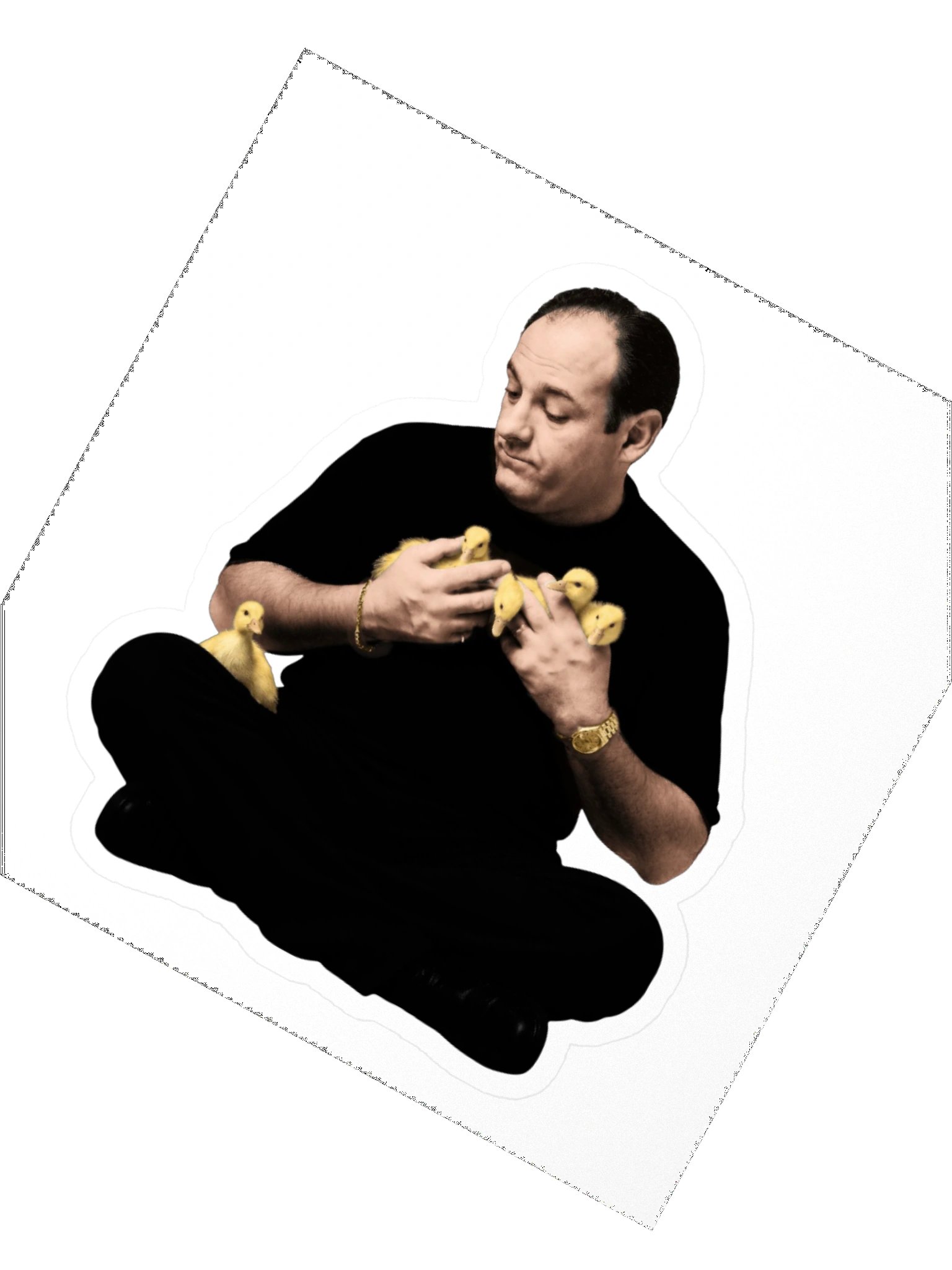 Tony & the Ducks — Vinyl Sticker product image (4)