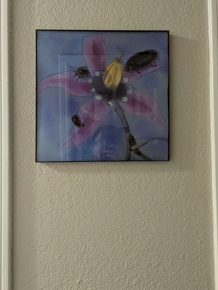 Synergy product image (2)