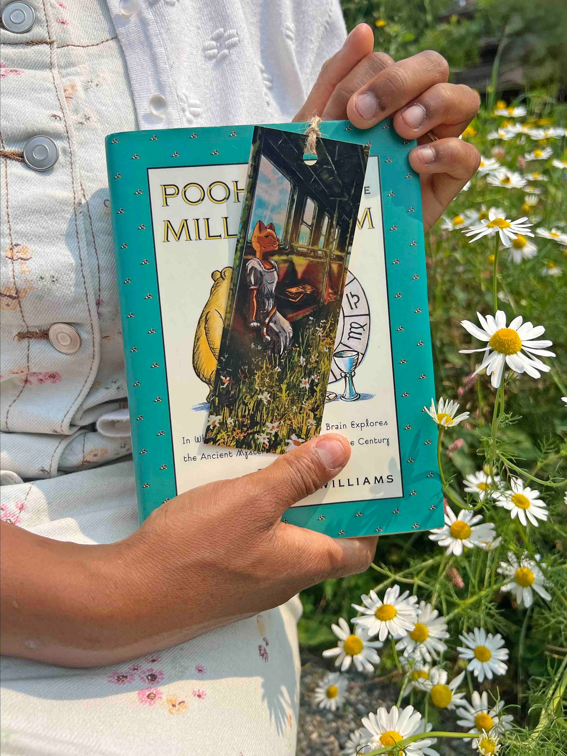 Picnic Express Bookmark product image (1)