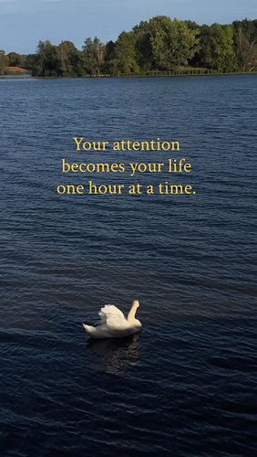 Protect it accordingly.
