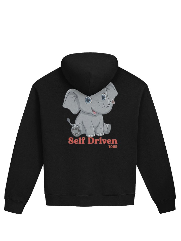 Self Driven Oversized Embroidered Hoodie product image (2)