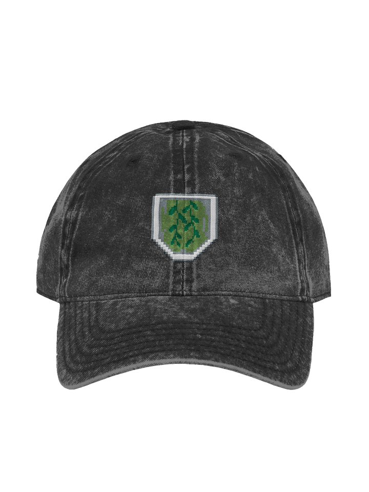 Vyncrest Pride Dad Hat product image (1)