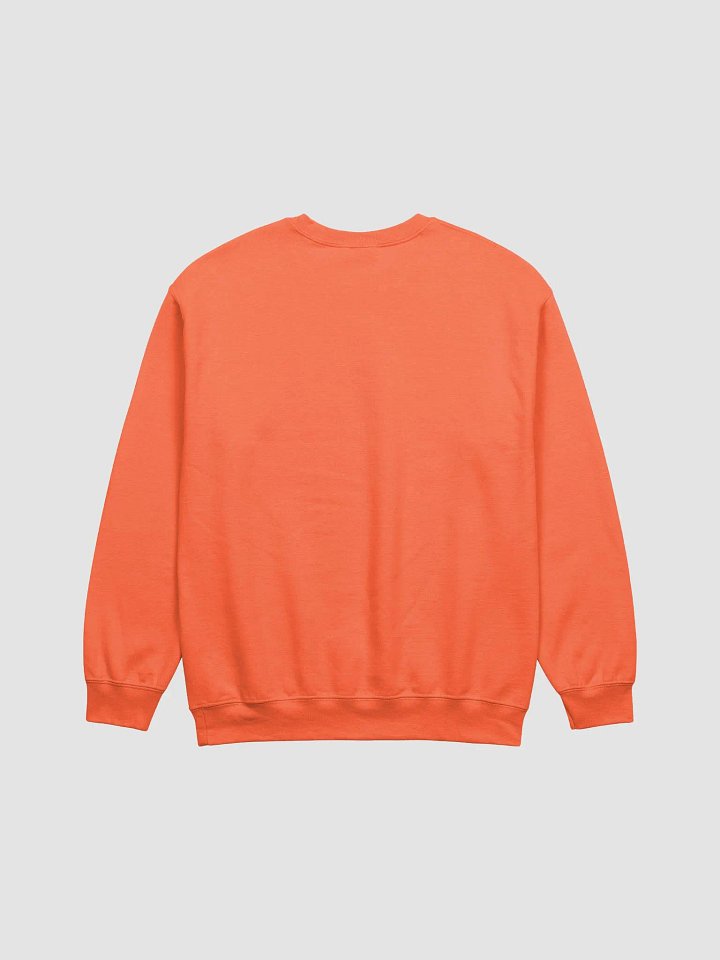 Compassion's Pulse Sweatshirt product image (16)