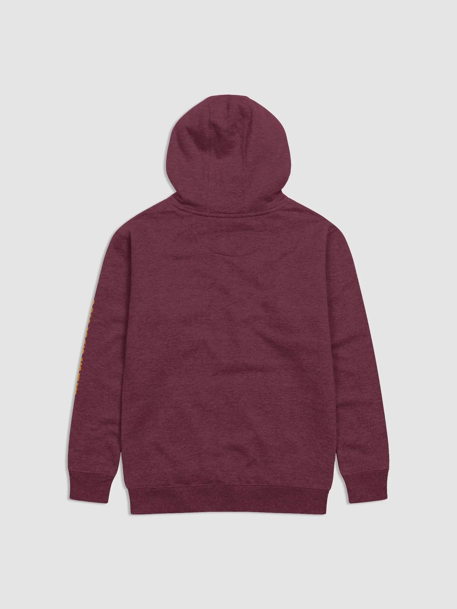 Fire LizardArtist Hoodie product image (2)