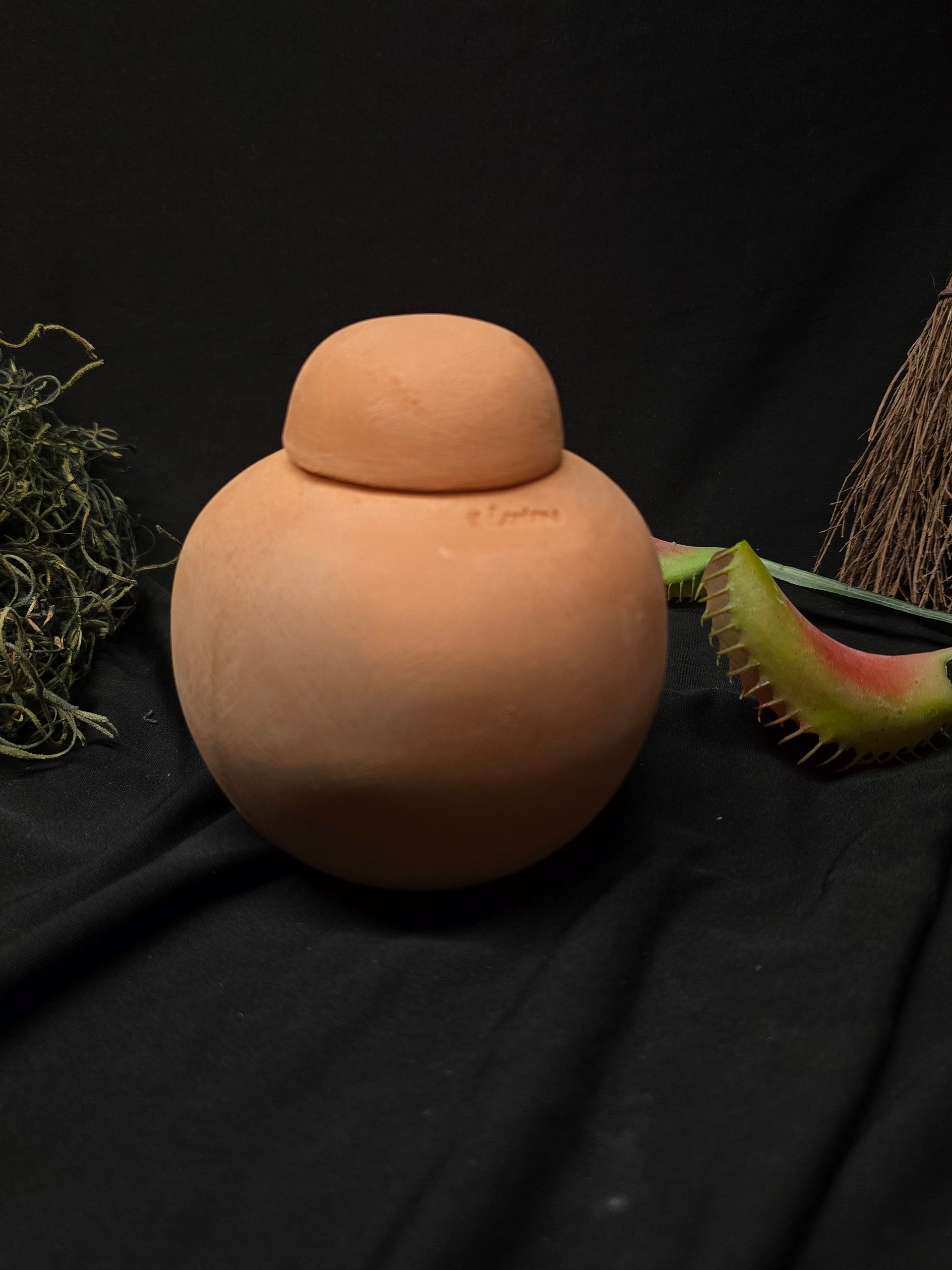 Terracotta Plant Olla Watering System Round Top product image (3)