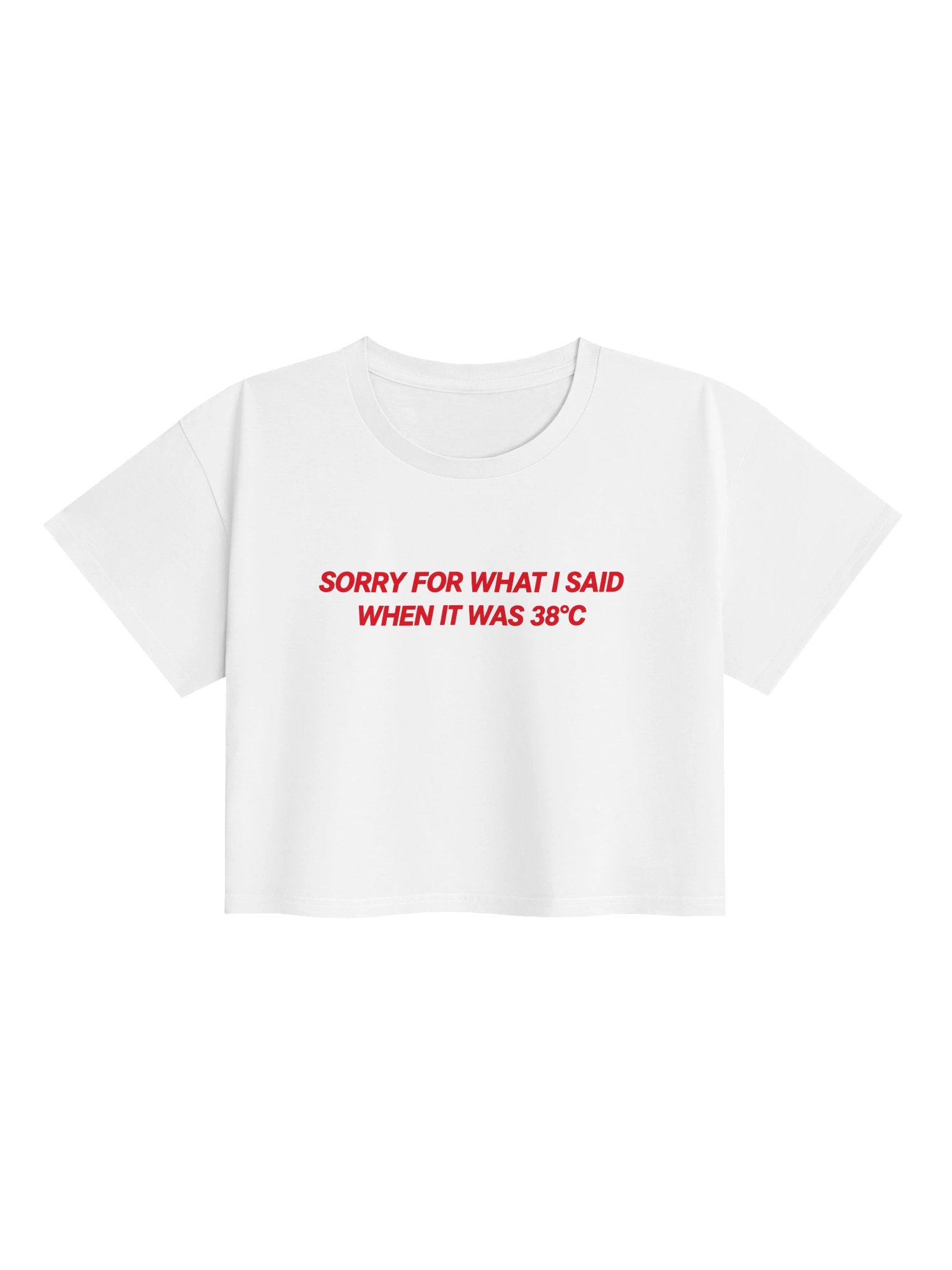 Sorry For What I Said When It Was 38°C product image (55)