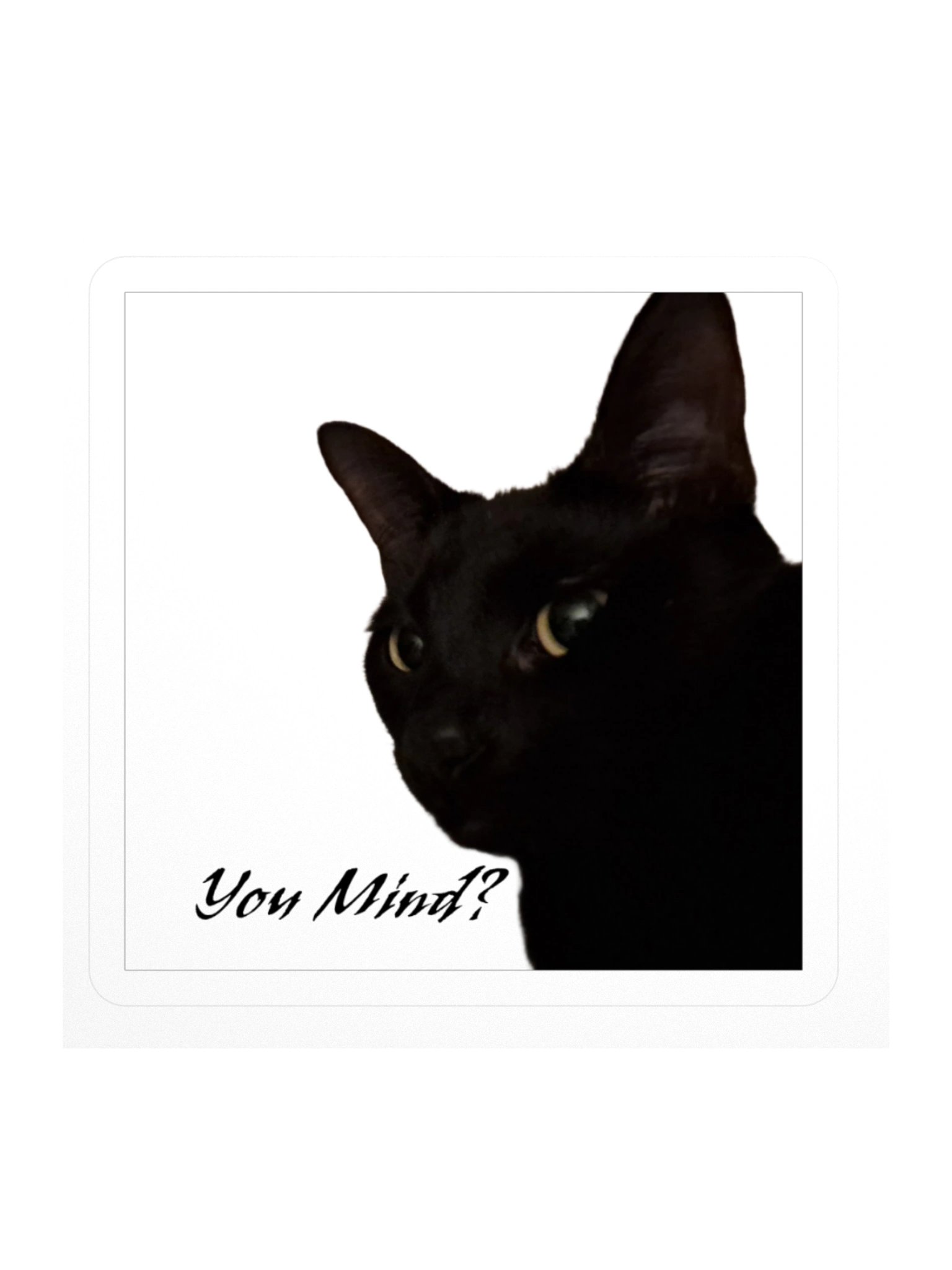 You Mind? Vader Sticker product image (1)