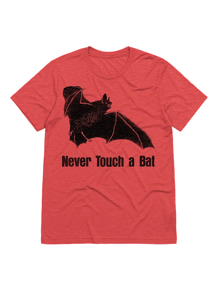 Never Touch a Bat (triblend) product image (1)