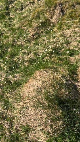 That’s a shame… anyway: do you like music?

#lostdog #livedj #housemusic 
#technomusic #twitchdj