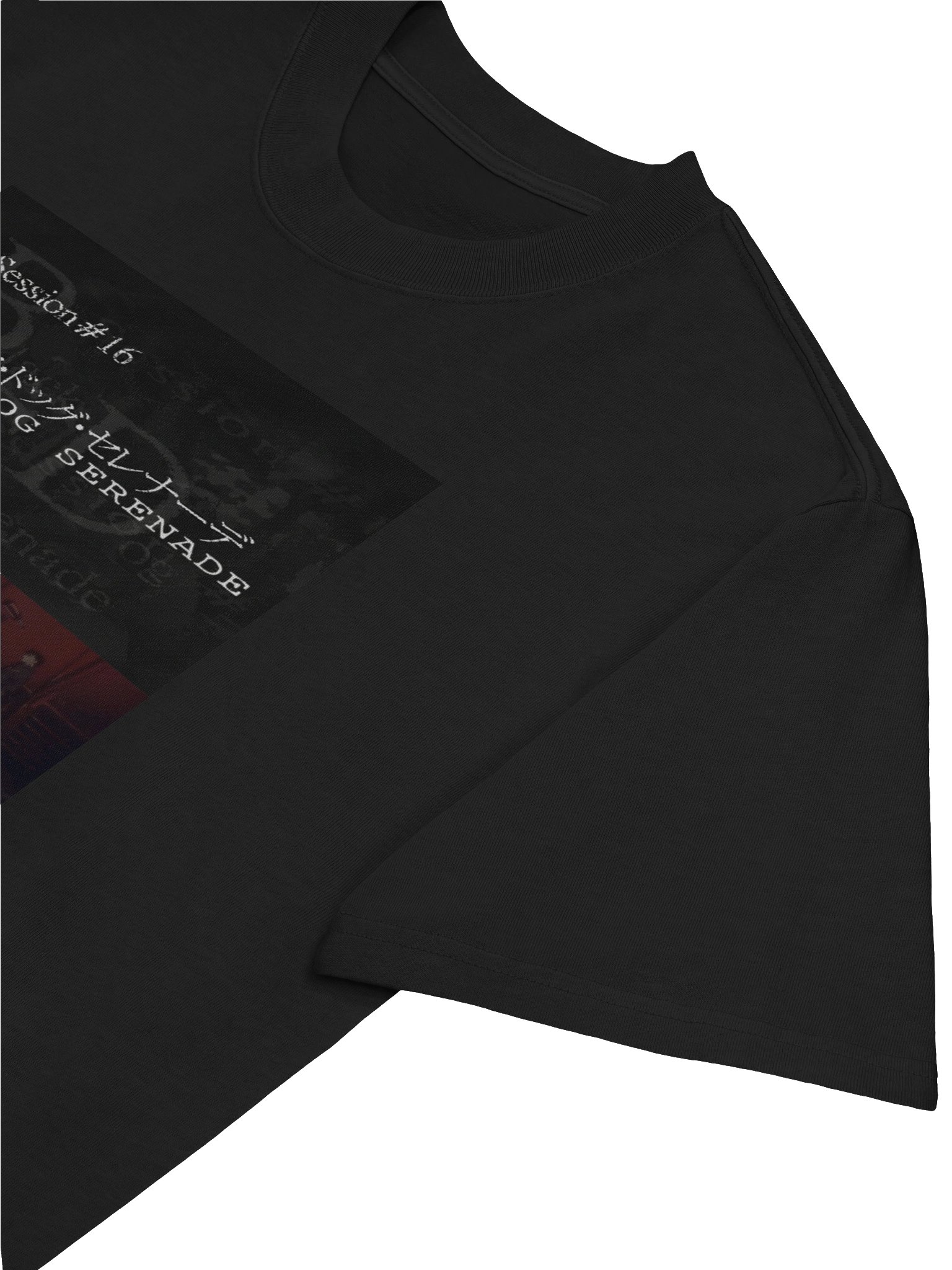 session 16 product image (9)