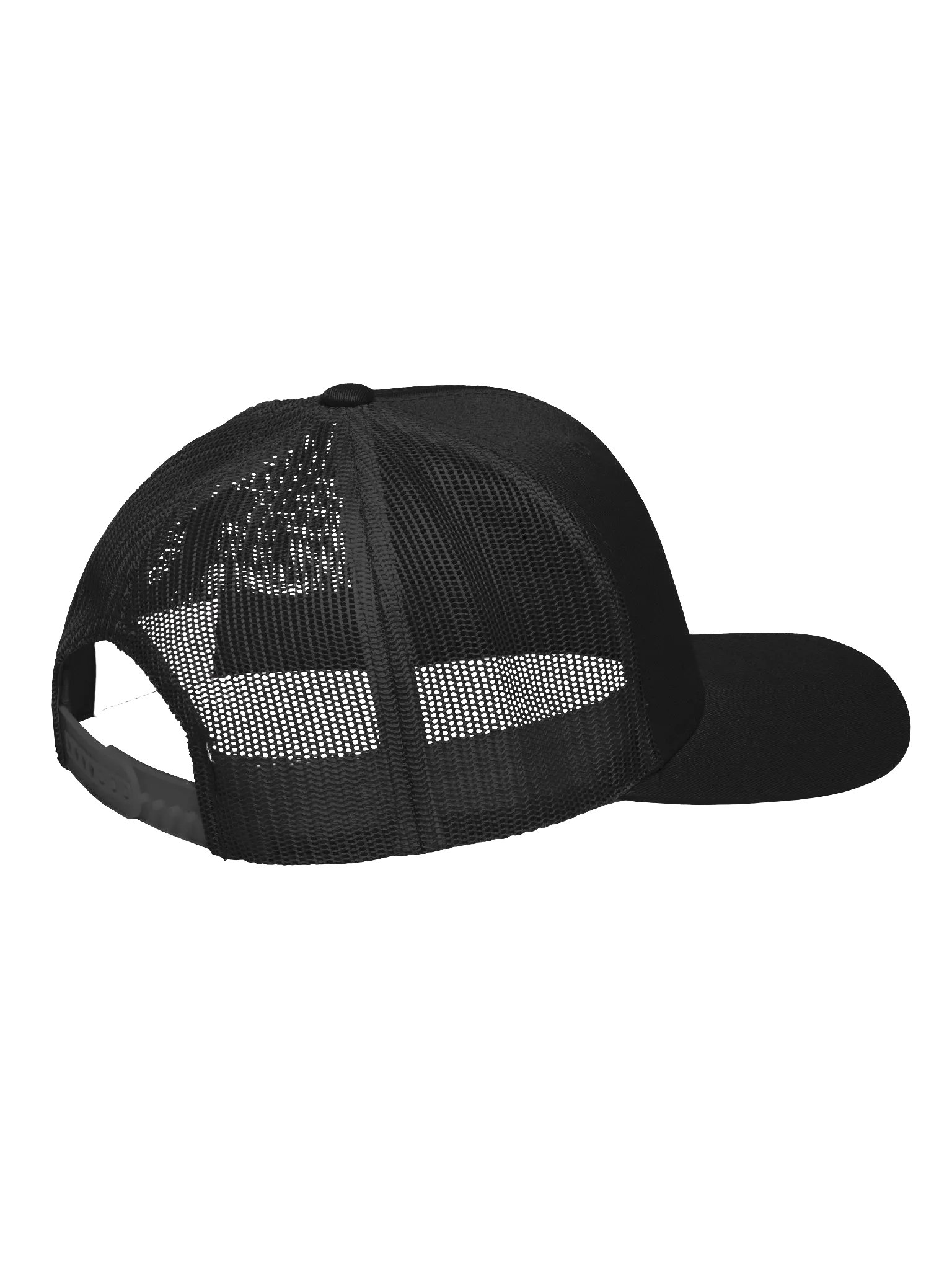 BigRedTetra Logo Snapback Hat product image (3)