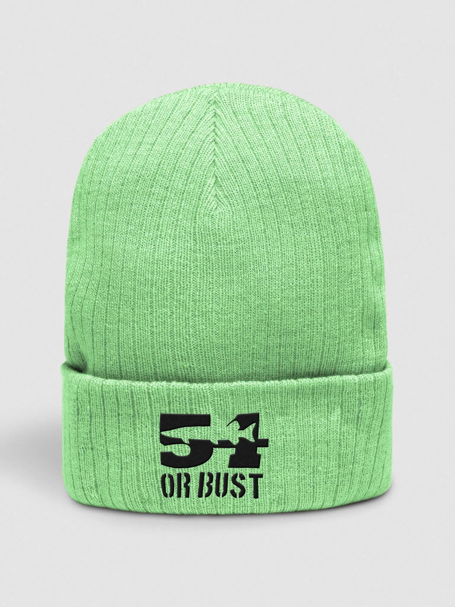 Eco-Friendly 54 or Bust Knit Beanie product image (19)