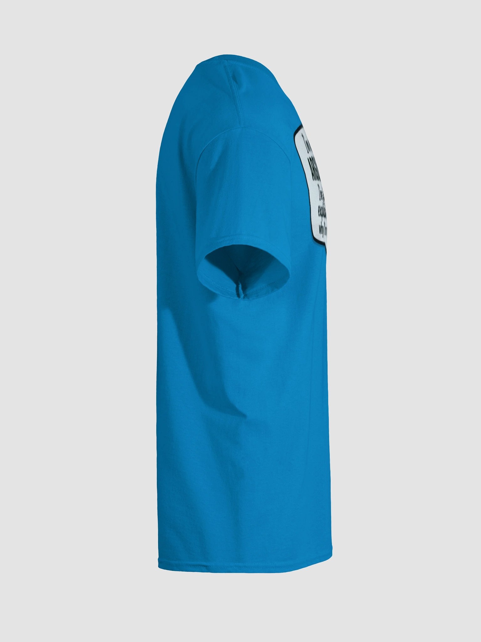 I'm not Arguing (Female) Gildan Heavyweight T-Shirt Colors (2) product image (8)