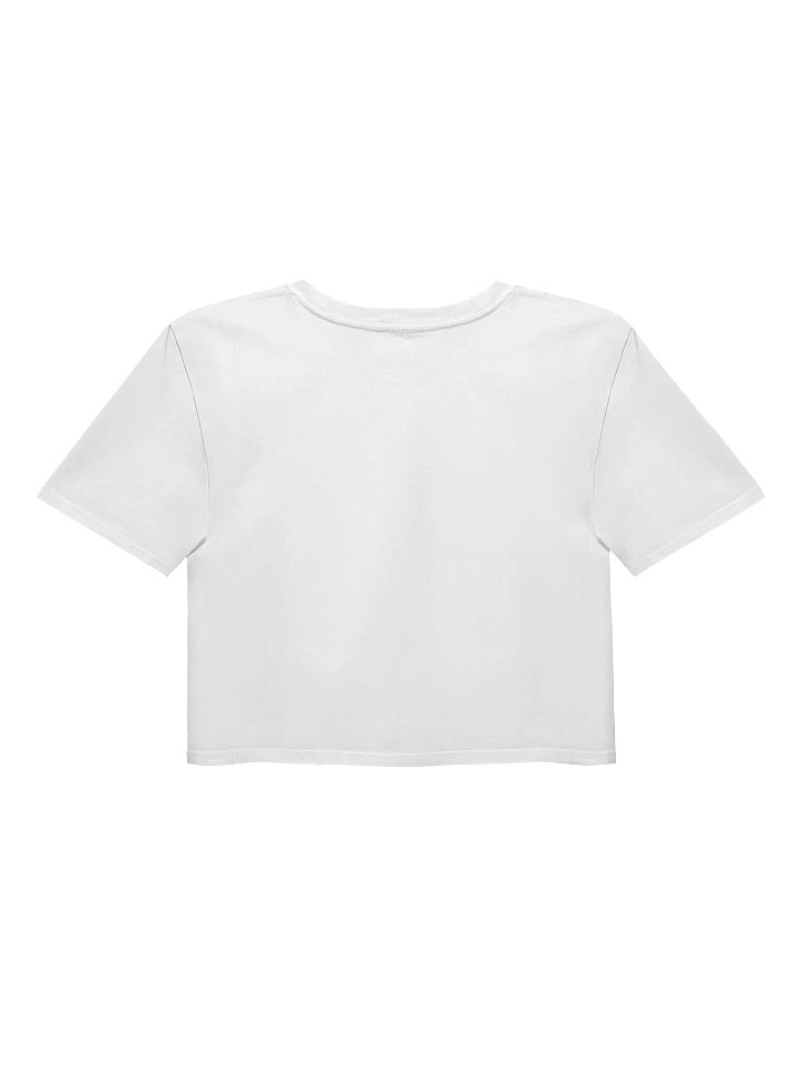 FLFC Crop Top - Cherry product image (2)