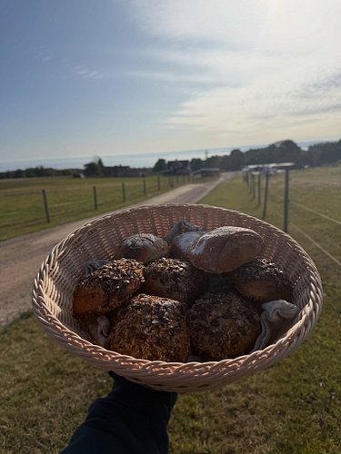 🥖 BRÖDLEVERANS TILL BRANDSTORPS LANTHANDEL!

Varje vardag lämnar vi nybakat bröd hos Brandstorps Lanthandel. ❤️

Bakat hos os...