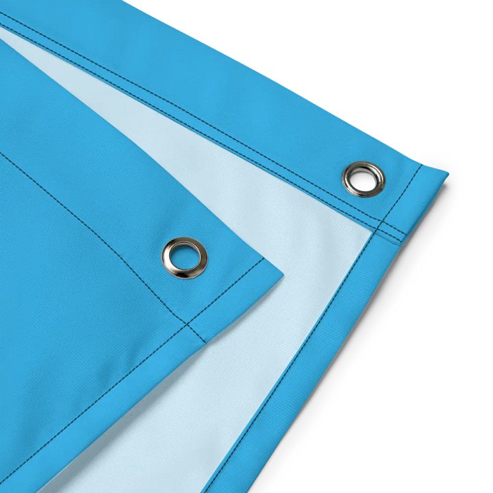 BONE ZONE FLAG (BLUE) product image (2)
