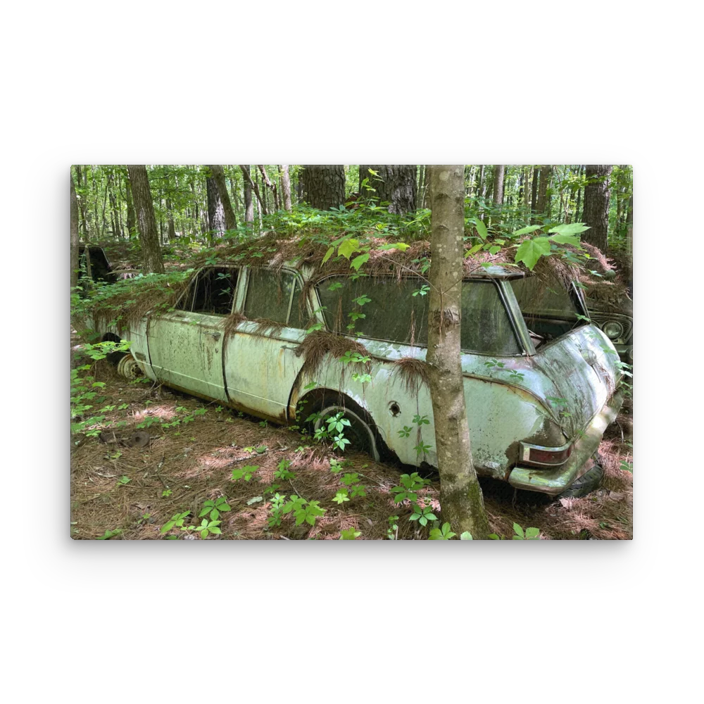 Old Car City USA – Nature Takes the Wheel product image (3)