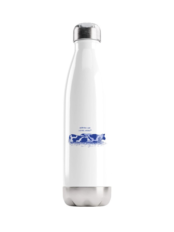 Water we doing here - Stainless Steel Watter Bottle product image (1)