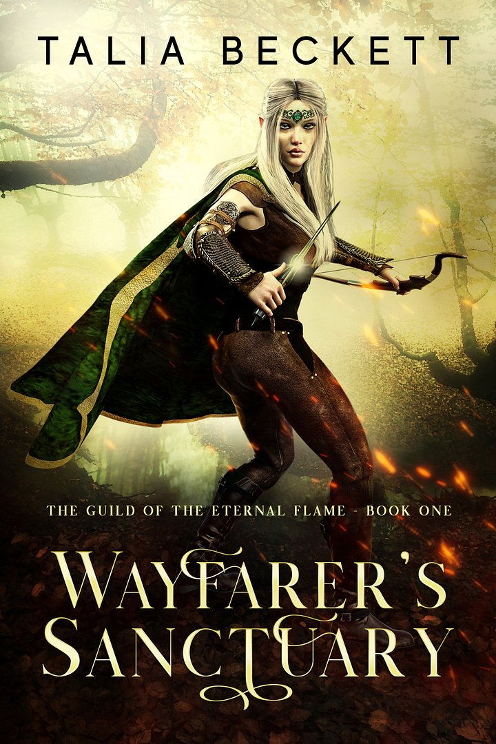 Wayfarer's Sanctuary - signed paperback product image (1)