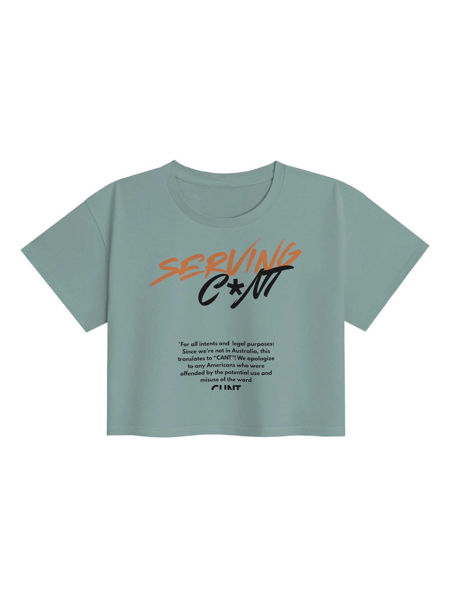 SERVING CANT product image (2)