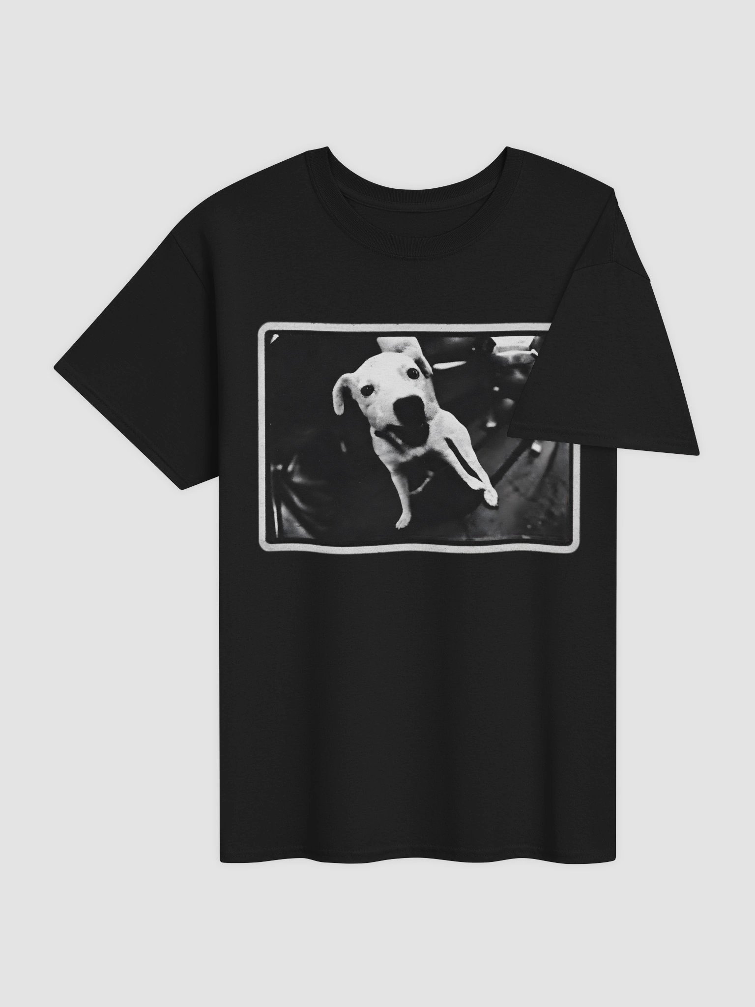 Malcolm in the Middle Dog Shirt – Pilot Episode Vintage Graphic Tee product image (4)