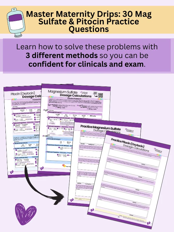 Maternity Nursing Study Guide and Questions by Nurse Sarah® (Digital) product image (5)
