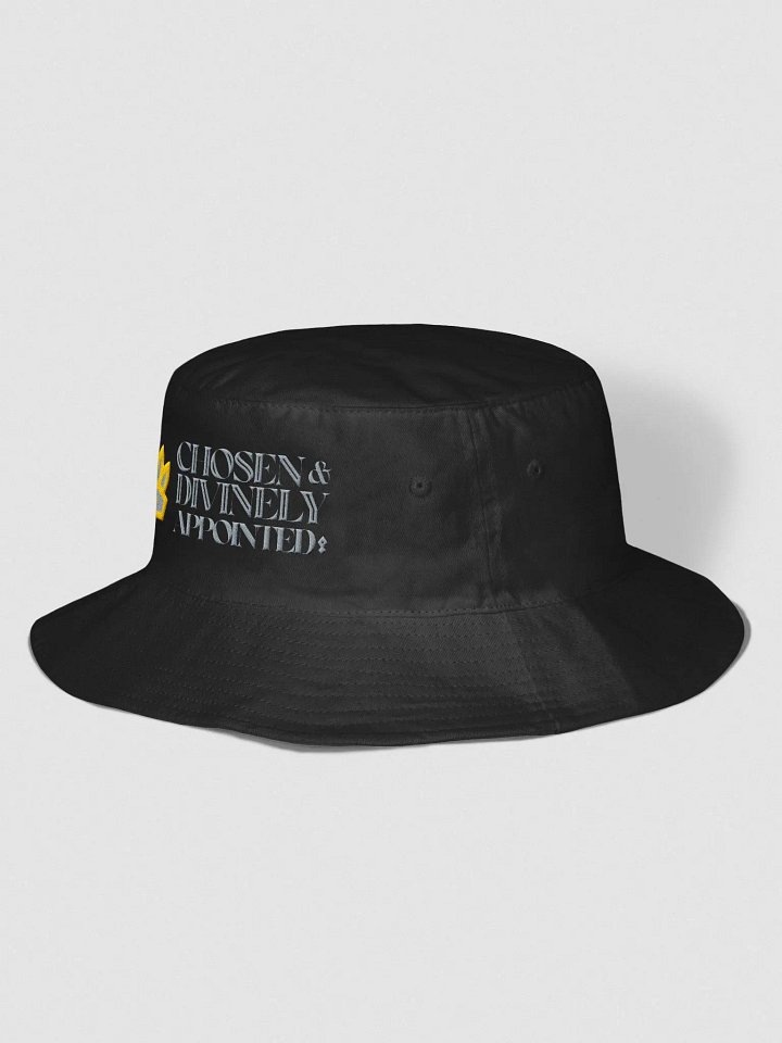 Chosen and Divinely Appointed product image (6)