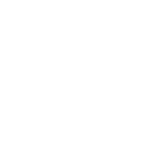 RACCOOND00M