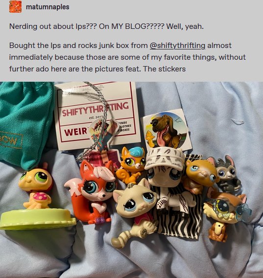 LPS and Rocks Junk Box product image (3)
