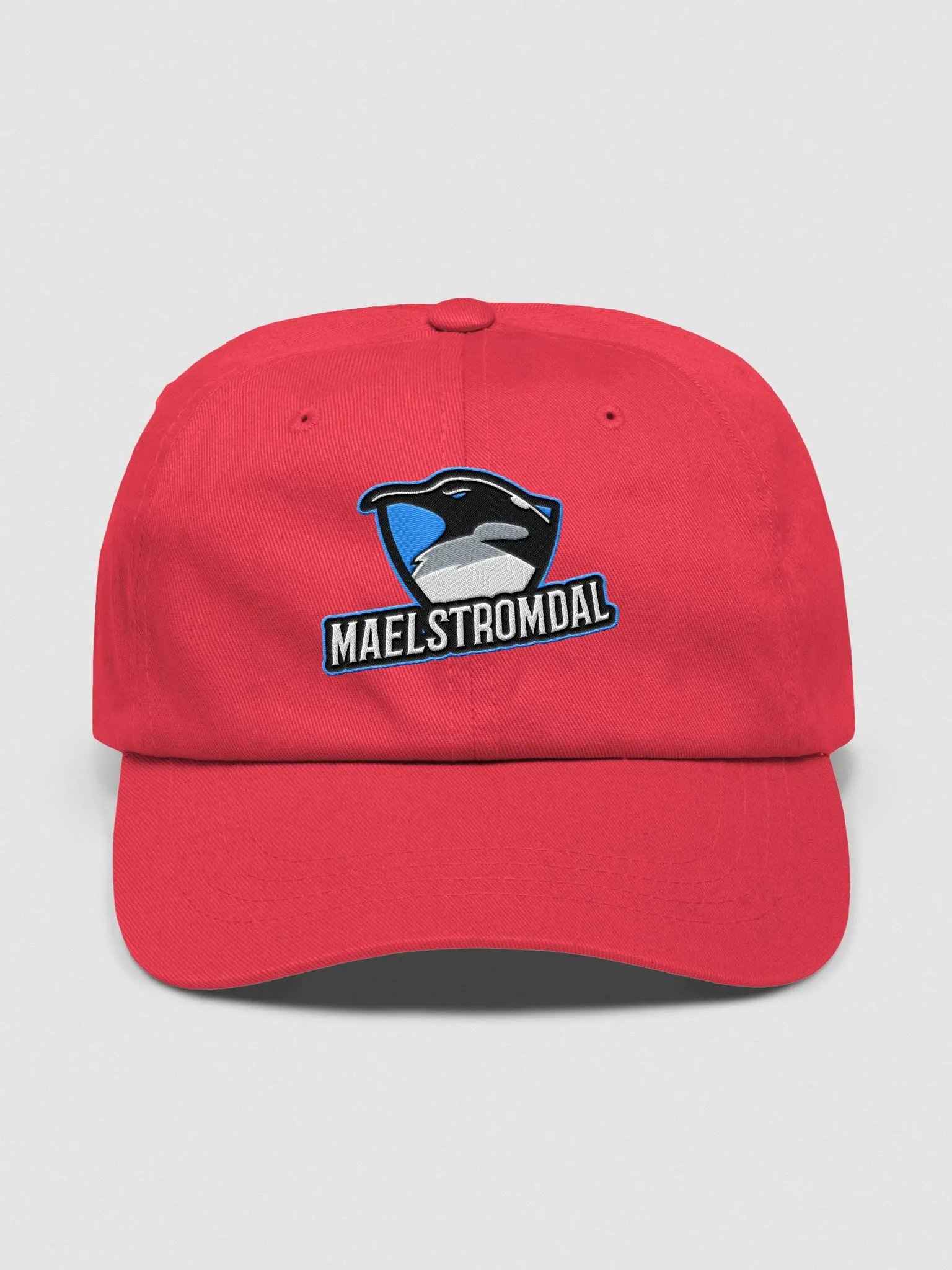 Baseball Cap product image (4)