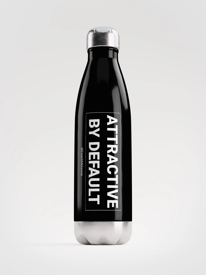 Attractive By Default – 17 oz Insulated Water Bottle (Black) product image (1)
